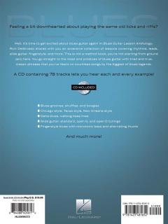 Blues Guitar Lesson Anthology von Rich Delgrosso 