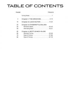 Blues Guitar Lesson Anthology von Rich Delgrosso 