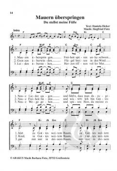 Manchmal brauchst du einen Engel von Siegfried Fietz 