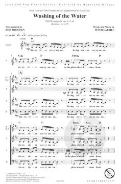 Washing Of The Water von Peter Gabriel 