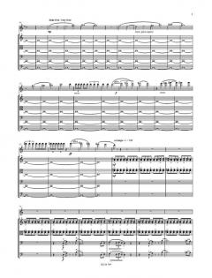 Bilder einer Einstellung (Aleksey Igudesman) 