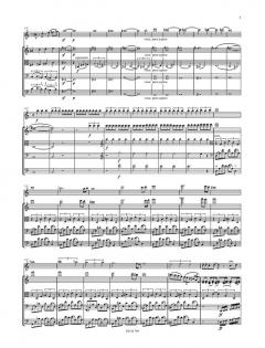 Bilder einer Einstellung (Aleksey Igudesman) 