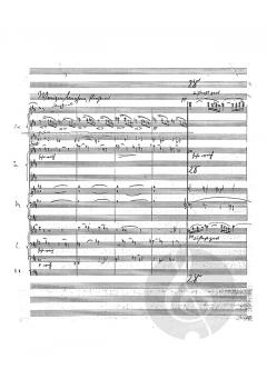 Kammersymphonie 'Himmlische Idylle' (Waldemar v. Baußnern) 