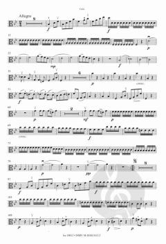 Streichquartett Nr. 2 von Maddalena Laura Lombardini Sirmen im Alle Noten Shop kaufen