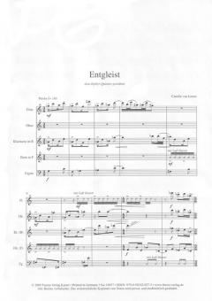 Entgleist op. 33 (Camille van Lunen) 