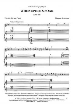 When Spirits Soar von M Brandman 
