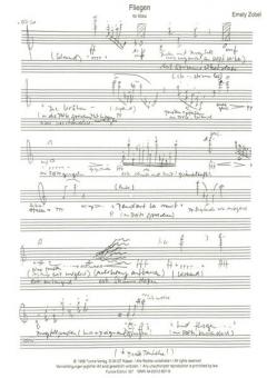 Fliegen op. 12 von Emely Zobel 