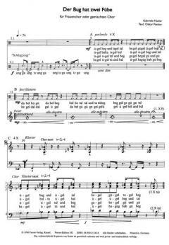 Der Bug hat zwei Fübe (Gabriele Hasler) 