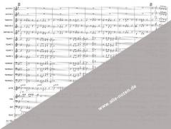 Hawaii Five-O Theme (Morton Stevens) 