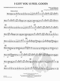 I Got You (I Feel Good) von James Brown (Download) 