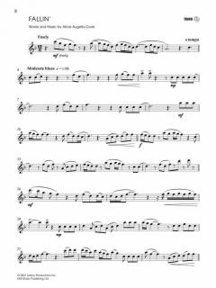 PureSolo - the Blue Book 