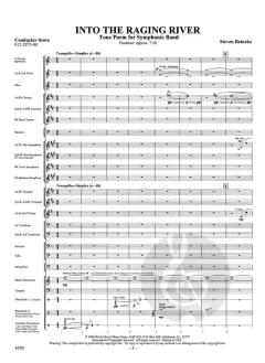 Into The Raging River (Steven Reineke) 