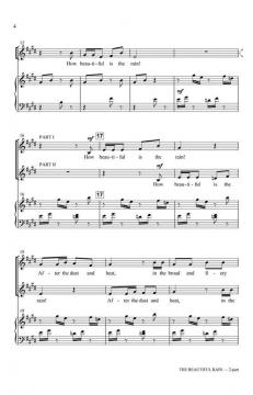 The Beautiful Rain (Janet Gardner) 