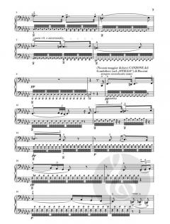 Venezia e Napoli von Franz Liszt 