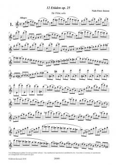 12 Etüden op. 25 von Niels Peter Jensen 