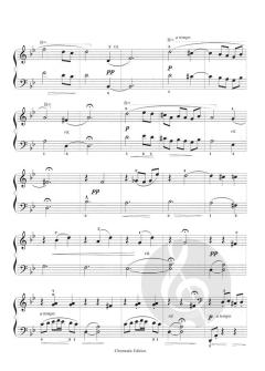 Von Barock bis Jazz Band 2 von Cleopatra V. Perepelita 