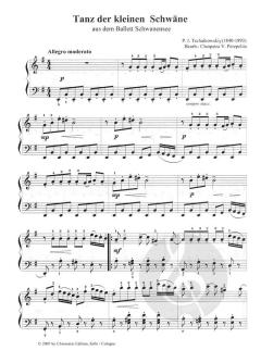 Von Barock bis Jazz Band 3 von Cleopatra V. Perepelita 