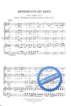 The Genius Of Mozart (W.A. Mozart) 