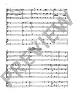 Concerto grosso e-Moll TWV 52:e2 von Georg Philipp Telemann 