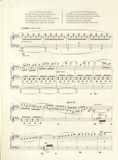 Zwei Episoden aus Lenaus 'Faust' von Franz Liszt 