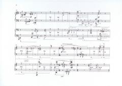 choler von Rebecca Saunders 