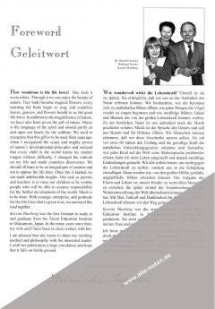 Shinichi Suzuki - Pionier der Musikerziehung (Kerstin Wartberg) 