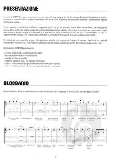 40 Soli Blues & Rock von Peter Nathanson 