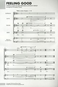 Feeling Good von Nina Simone 