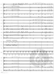 Star Trek Through the Years - Score 