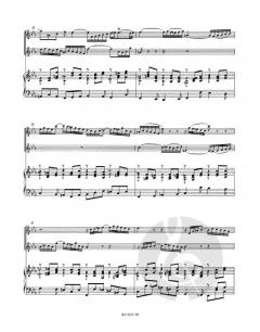 Konzert c-Moll von Johann Sebastian Bach 