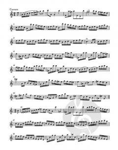 Partita in a-Moll BWV 1013 für Flöte solo von Johann Sebastian Bach im Alle Noten Shop kaufen - BA5187