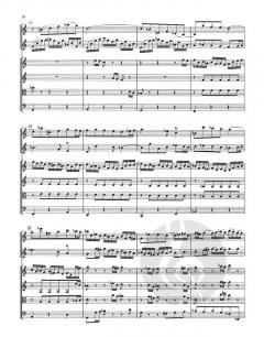 Konzert d-Moll BWV 1043 von Johann Sebastian Bach (Download) 