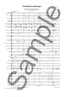 Turbulent Landscapes von Thea Musgrave 