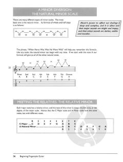 Fingerstyle Guitar Method Complete von Steven Zdenek Eckels 