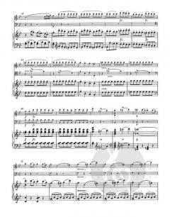 2 Klaviertrios (Franz Schubert) 