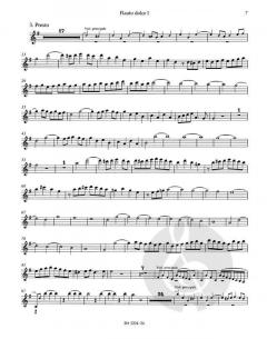 Brandenburgisches Konzert Nr. 4 BWV 1049 (J.S. Bach) 