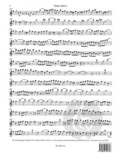 Brandenburgisches Konzert Nr. 4 BWV 1049 (J.S. Bach) 