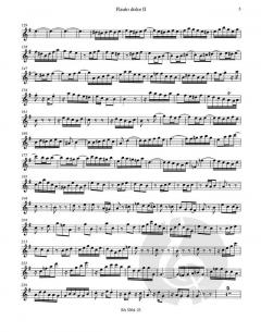 Brandenburgisches Konzert Nr. 4 BWV 1049 (J.S. Bach) 