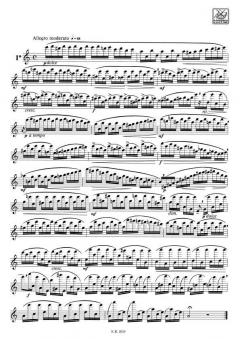 24 Studi per Flauto Revisione di Roberto Fabbricia von Giulio Briccialdi 