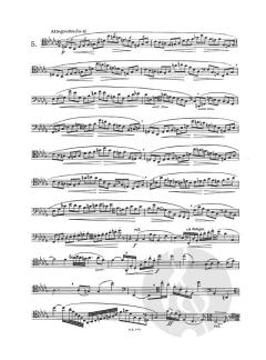 Studi di bravura per fagotto im Alle Noten Shop kaufen