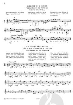 Essential Guitar Skill Scale Gtr von Bryan Lester 