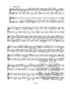 Konzert in g-Moll BWV 1058 von Werner Breig für Cembalo, Streicher und Bc im Alle Noten Shop kaufen