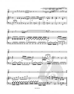 Konzert Nr. 2 Es-Dur KV 417 von Wolfgang Amadeus Mozart (Download) 