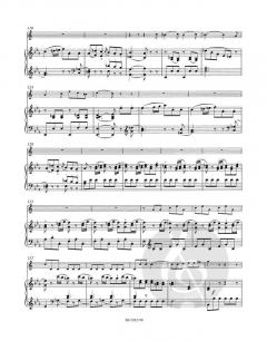 Konzert für Horn und Orchester KV 447 von Wolfgang Amadeus Mozart im Alle Noten Shop kaufen