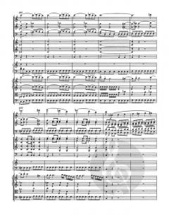 Klavierkonzert Nr. 21 C-Dur KV 467 von Wolfgang Amadeus Mozart 