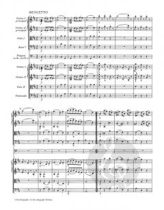 Serenata notturna KV 239 von Wolfgang Amadeus Mozart 