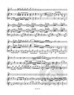 Konzert in G-Dur von Wolfgang Amadeus Mozart für Flöte und Orchester KV 622 im Alle Noten Shop kaufen