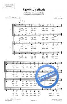Solitude (Peter Eötvös) 