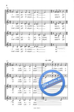 Solitude (Peter Eötvös) 