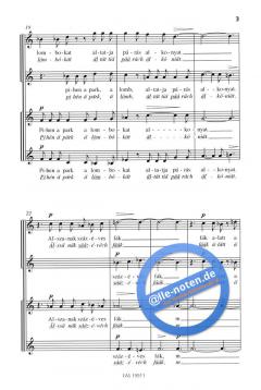 Solitude (Peter Eötvös) 